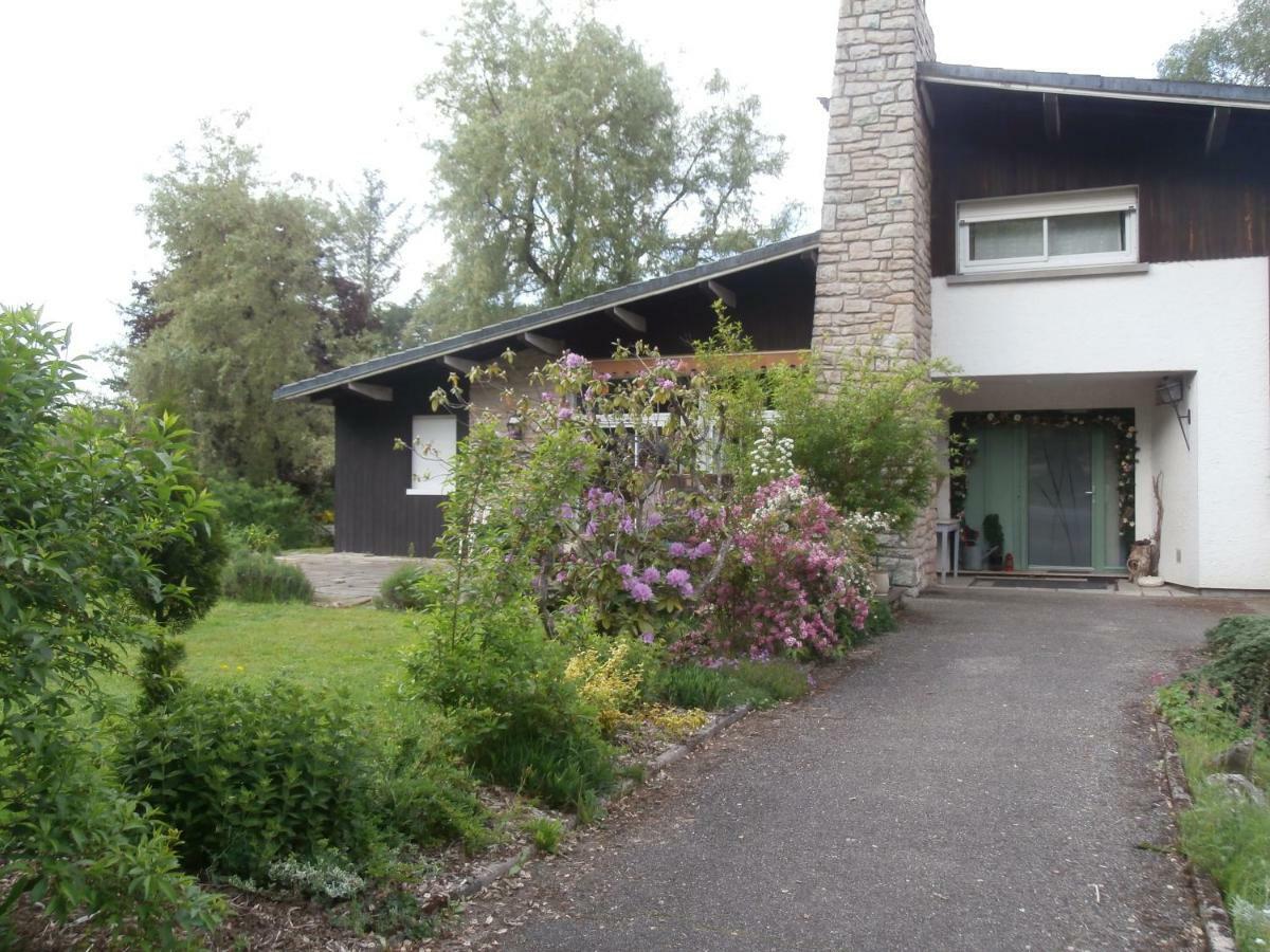L'Echappee Belle A L'Etang D'Anty -Appartement Saint-Nabord Buitenkant foto